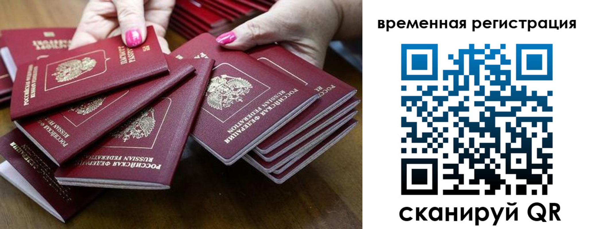 временная регистрация поиск в Геленджике